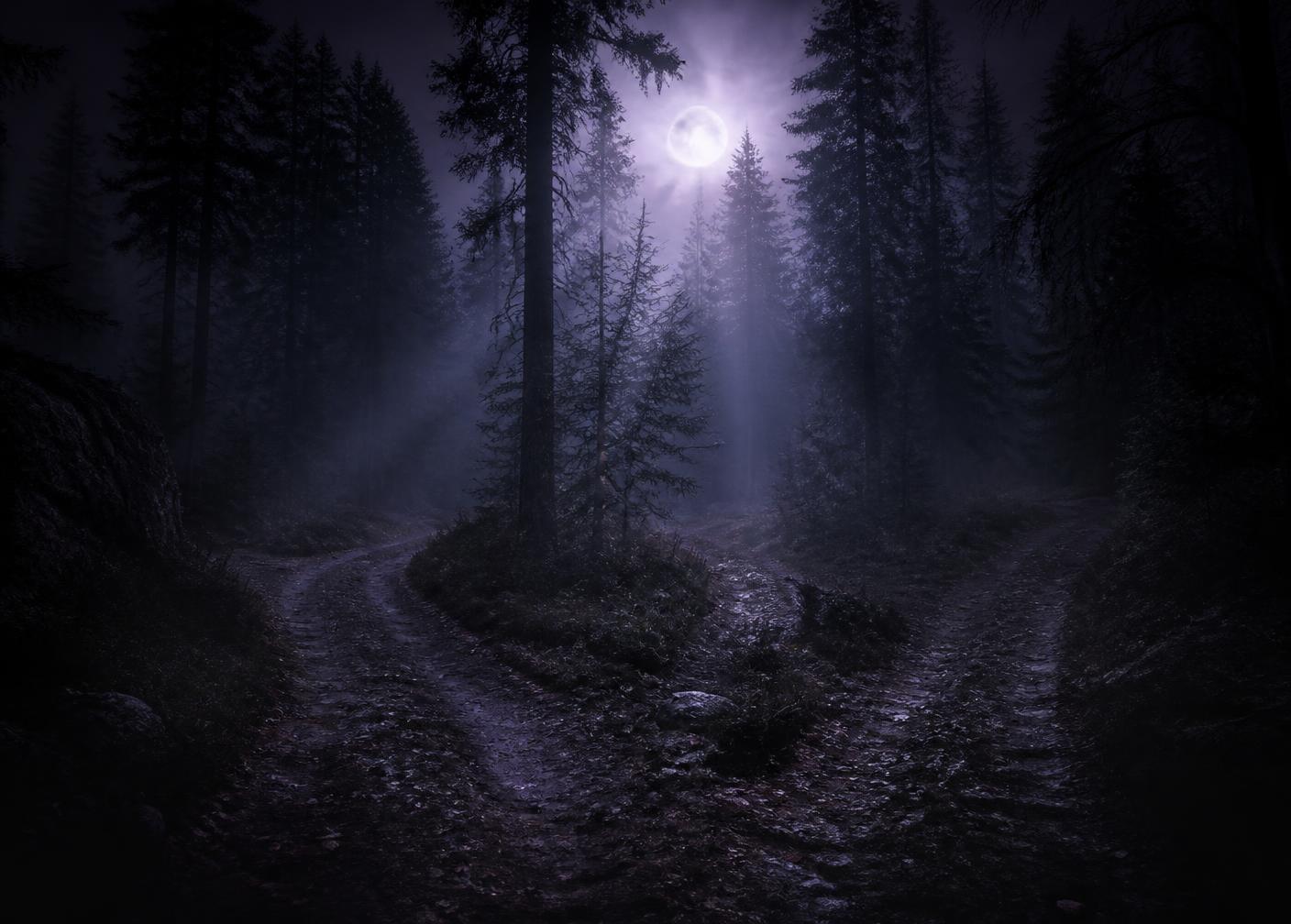 Moonlit fog over a dark forest crossroads, representing a psychic insight session